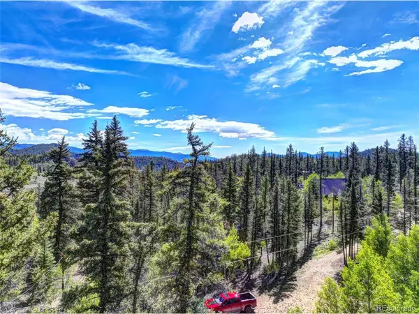 75 Swiggler, Jefferson, CO 80456