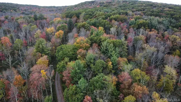 4 West Hill Road, Austerlitz, NY