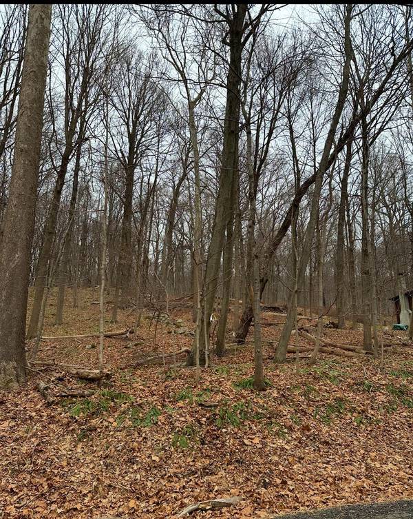 12 Laura LN, Hopewell Junction, NY 12533