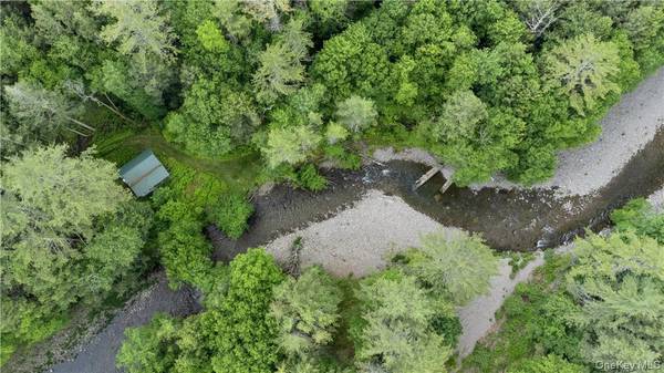 56 Saw Mill RD, Claryville, NY 12725