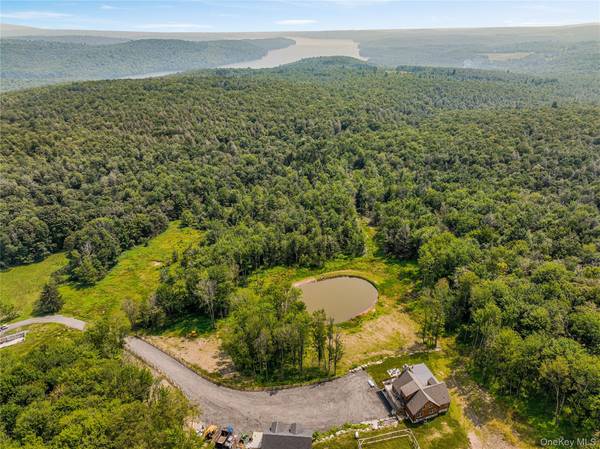 376 Aden Hill RD, Neversink, NY 12765