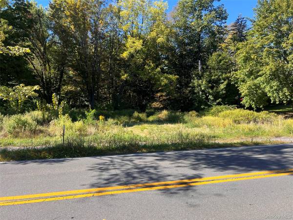 15 Main ST, Napanoch, NY 12458