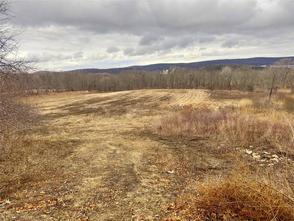 326 Cornwall Hill RD, Patterson, NY 12563