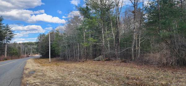 42 Concord RD, Kiamesha Lake, NY 12751