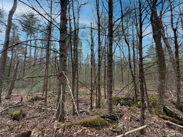 Summit DR, Barryville, NY 12792