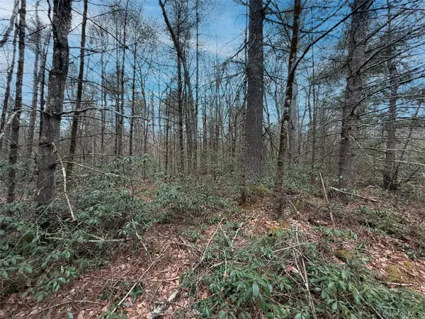 Summit DR, Barryville, NY 12792