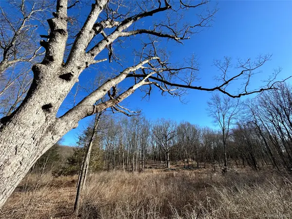 Rt-9G, Rhinebeck, NY 12572