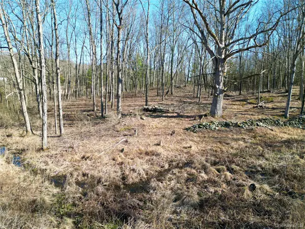 Rt-9G, Rhinebeck, NY 12572
