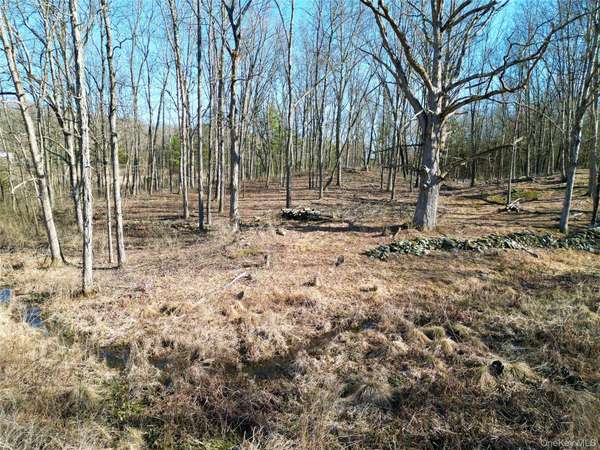 Rt-9G, Rhinebeck, NY 12572
