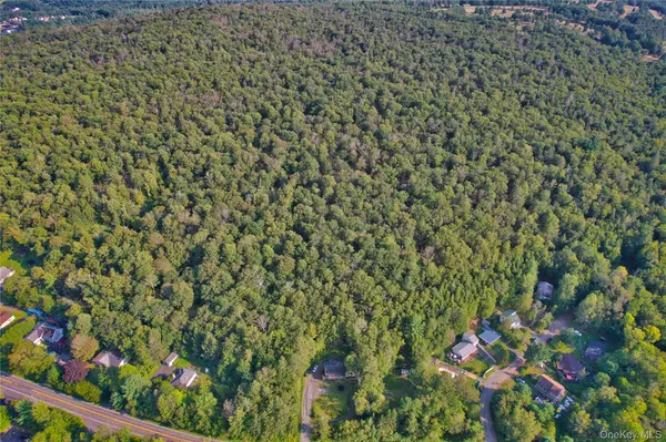 39 Birch LN, Swan Lake, NY 12783