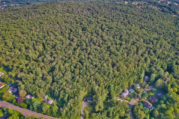 39 Birch LN, Swan Lake, NY 12783