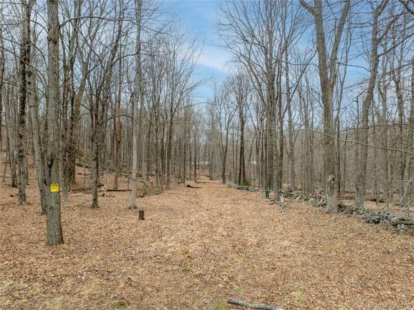22 Joshua Hobby LN, Pound Ridge, NY 10576