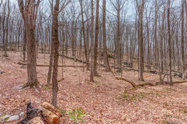 22 Joshua Hobby LN, Pound Ridge, NY 10576