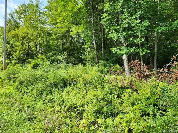 2.-1-32.7 State Route 17B, Cochecton, NY 12726