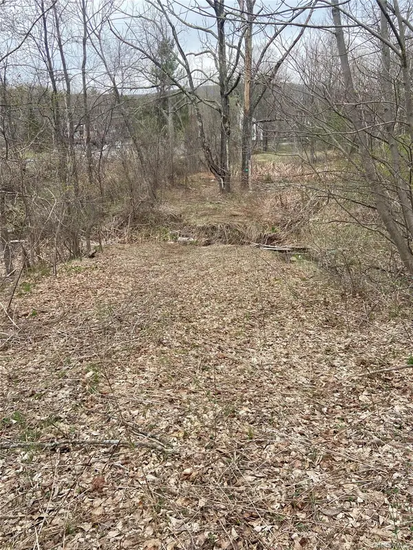 5232 Route 23A, Haines Falls, NY 12436