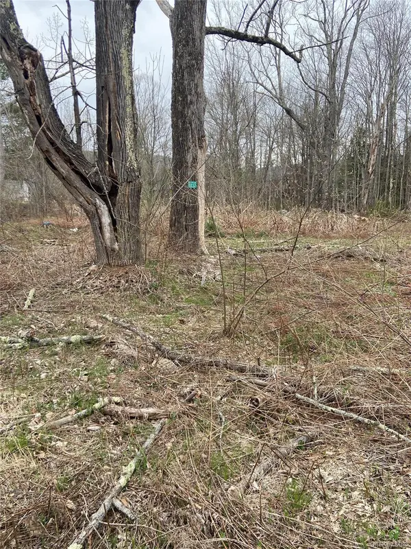 5232 Route 23A, Haines Falls, NY 12436