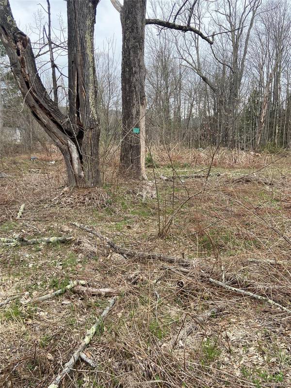 5232 Route 23A, Haines Falls, NY 12436