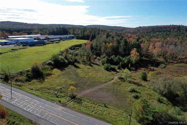 #TBD NYS Route 17B, Monticello, NY 12701