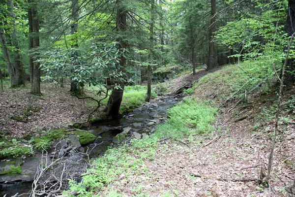 Lot 23 Serenity DR, Callicoon, NY 12723