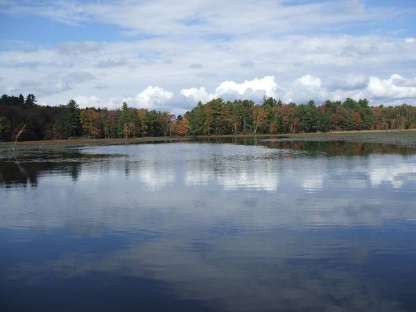 Rt-17B, White Lake, NY 12720