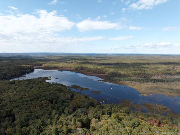3 Big Lake RD, Huguenot, NY 12746