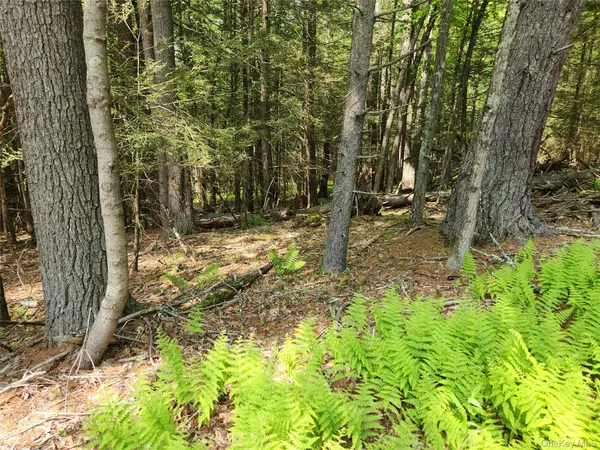 Highland Lake, Eldred, NY 12732