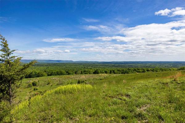19 Red Rock RD, Wawarsing, NY 12489