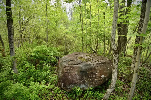 Rt. 52, Ellenville, NY 12489