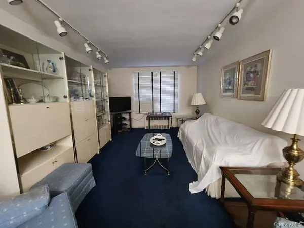 2251 Plumb 1st ST #6B, Brooklyn, NY 11229
