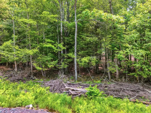 TBD Boulder Brook lot 13B RD, Windham, NY 12496