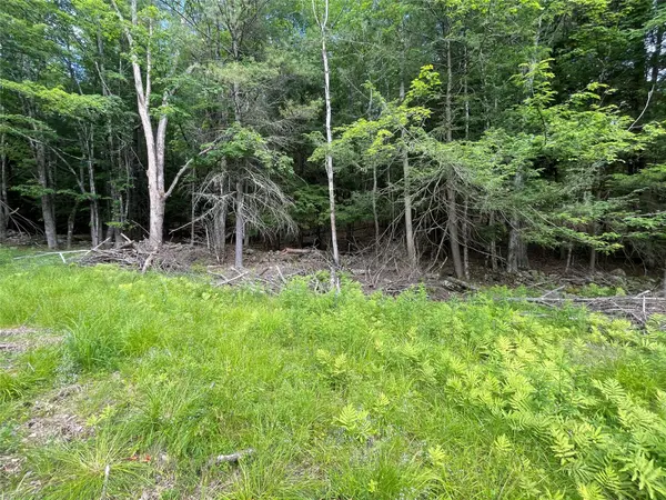 TBD Boulder Brook lot 13B RD, Windham, NY 12496