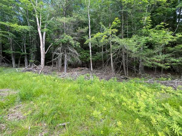 TBD Boulder Brook lot 13B RD, Windham, NY 12496