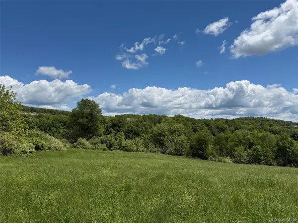 Smithfield RD, Millerton, NY 12546