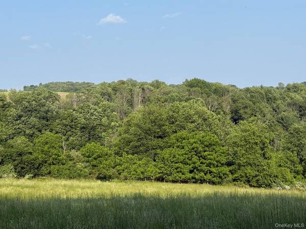 Smithfield RD, Millerton, NY 12546