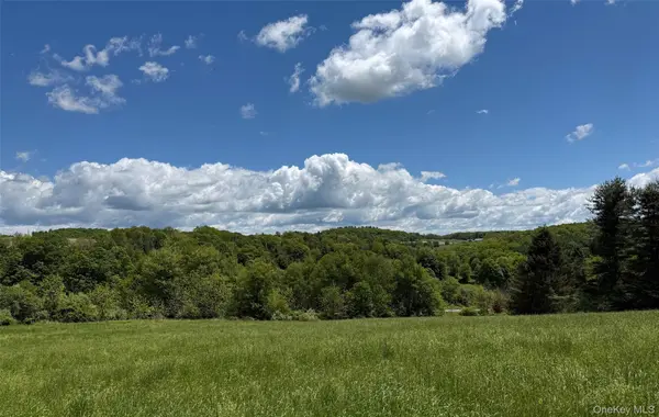 Smithfield RD, Millerton, NY 12546
