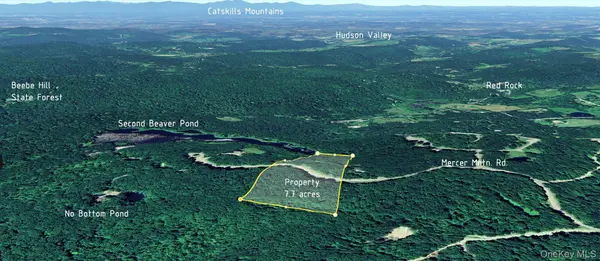 400 Mercer Mountain RD, East Chatham, NY 12060