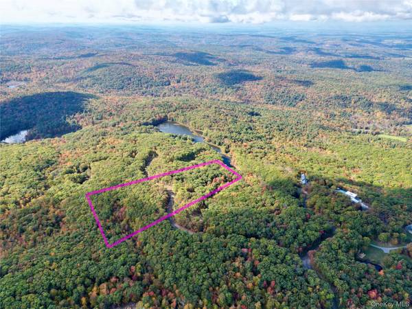 400 Mercer Mountain RD, East Chatham, NY 12060