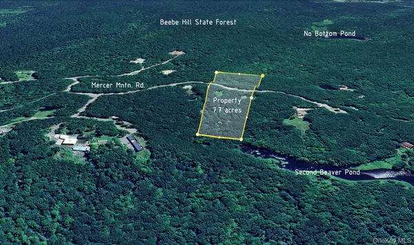 400 Mercer Mountain RD, East Chatham, NY 12060