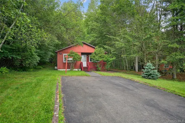 65 Timber Hill LN, South Fallsburg, NY 12779