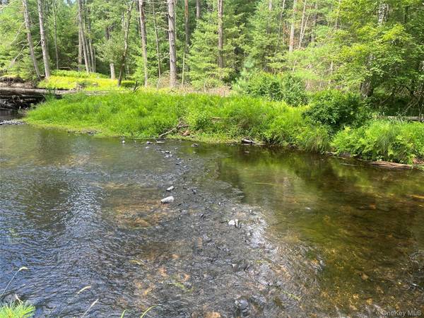 27 Woods RD, Yulan, NY 12792