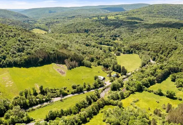 2018 Beaverkill RD, Livingston Manor, NY 12758