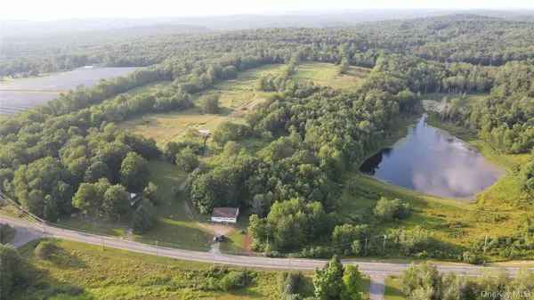 150 Sackett Lake RD, Monticello, NY 12701