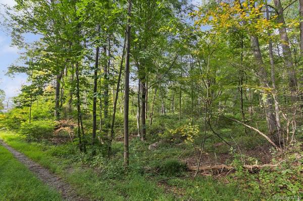 TBD Rt-9d, Garrison, NY 10524