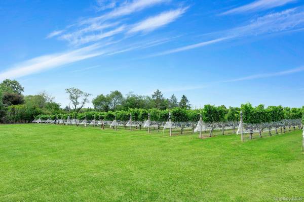 44075 Route 25, Peconic, NY 11971