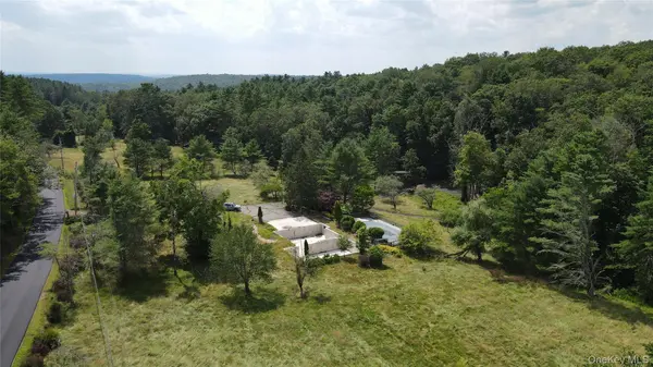 259 Lackawaxen RD, Narrowsburg, NY 12764