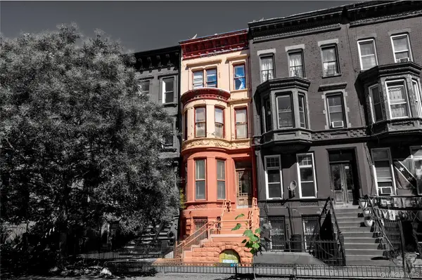 113 Halsey ST, Brooklyn, NY 11216