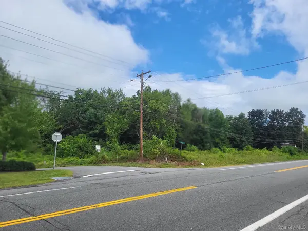 W NYS RTE 208 Highway (Bona Ventura) AVE, Wallkill, NY 12589
