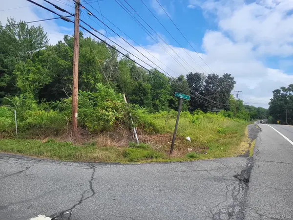 W NYS RTE 208 Highway (Bona Ventura) AVE, Wallkill, NY 12589