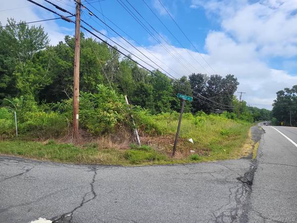W NYS RTE 208 Highway (Bona Ventura) AVE, Wallkill, NY 12589