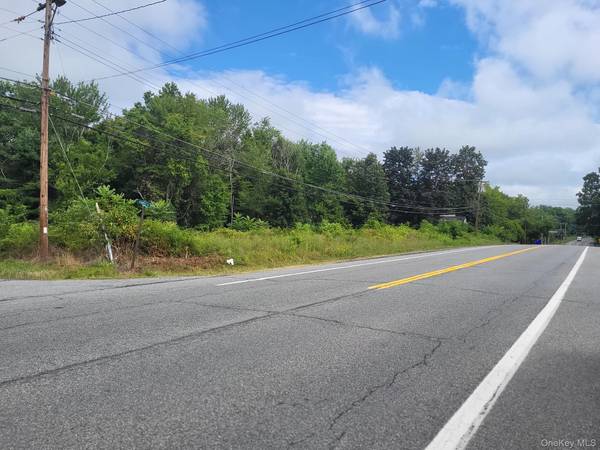W NYS RTE 208 Highway (Bona Ventura) AVE, Wallkill, NY 12589